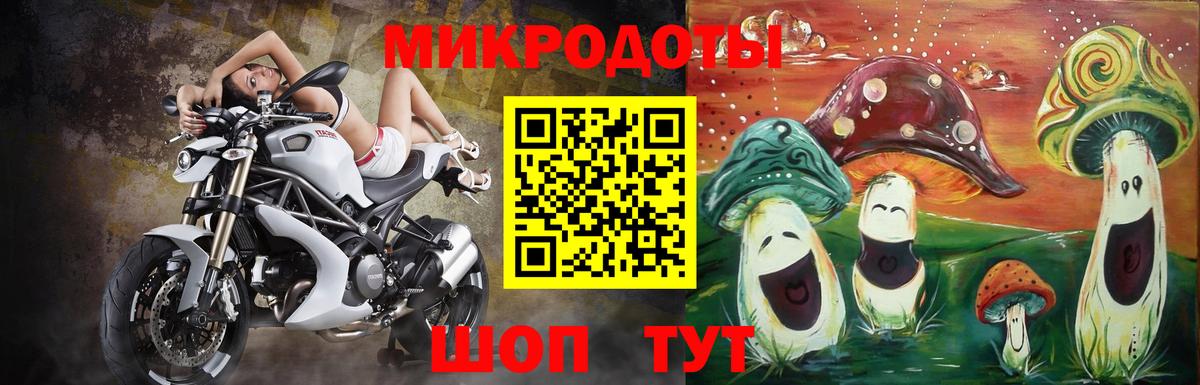 Галлюциногенные грибы Psilocybine cubensis Новочеркасск
